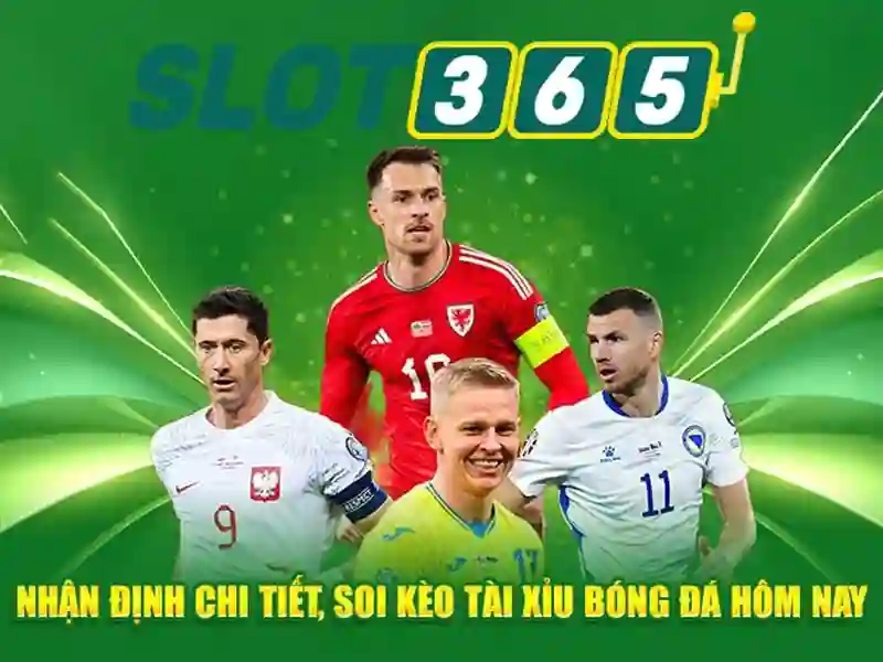 Giới thiệu về Slot365