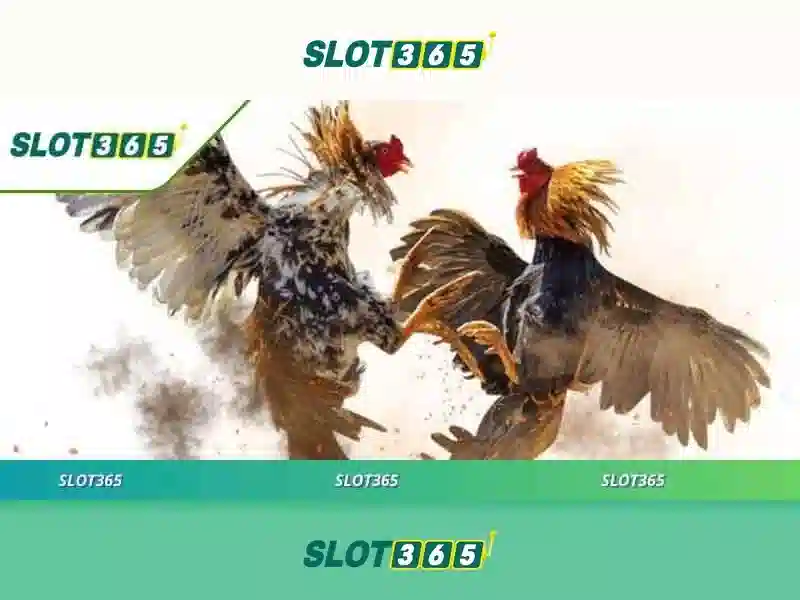Slot365 là gì và tại sao được nhiều người tin dùng