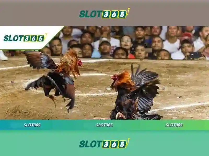 Giao diện và trải nghiệm người dùng Giao diện và trải nghiệm người dùng