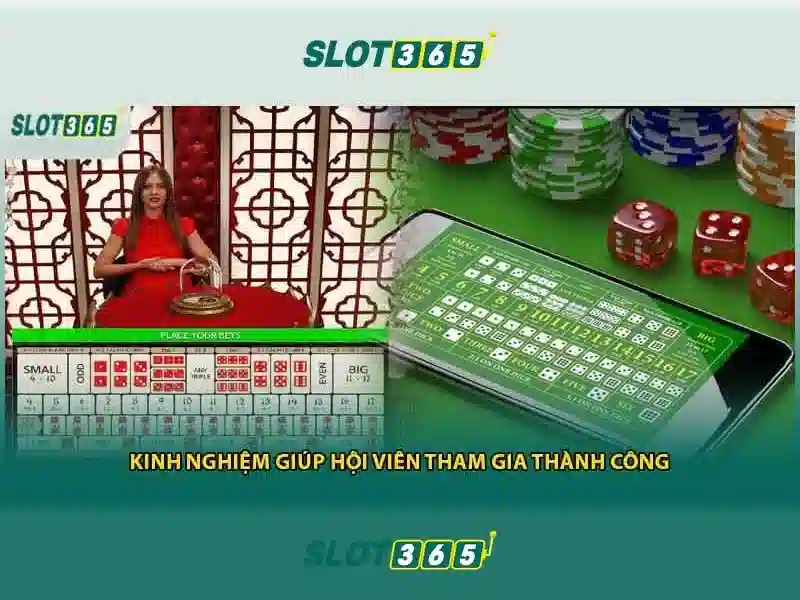 Slot365 là gì? Slot365 là gì?