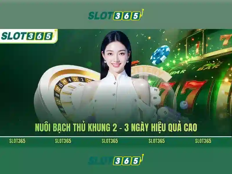 Kết nối di động và trải nghiệm mượt mà