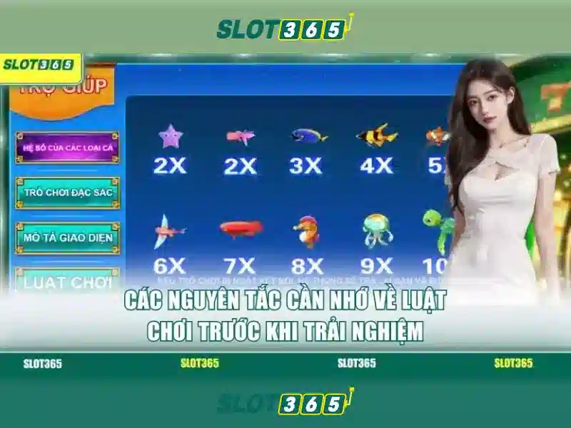 An toàn và thanh toán