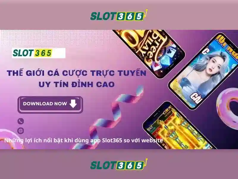 Giao diện và trải nghiệm người dùng