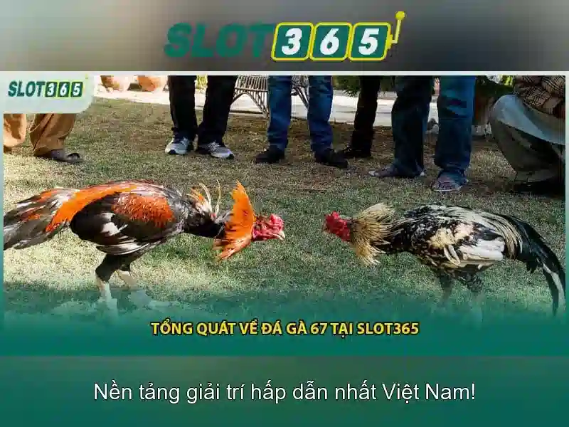 An toàn và các biện pháp bảo mật khi chơi Slot365