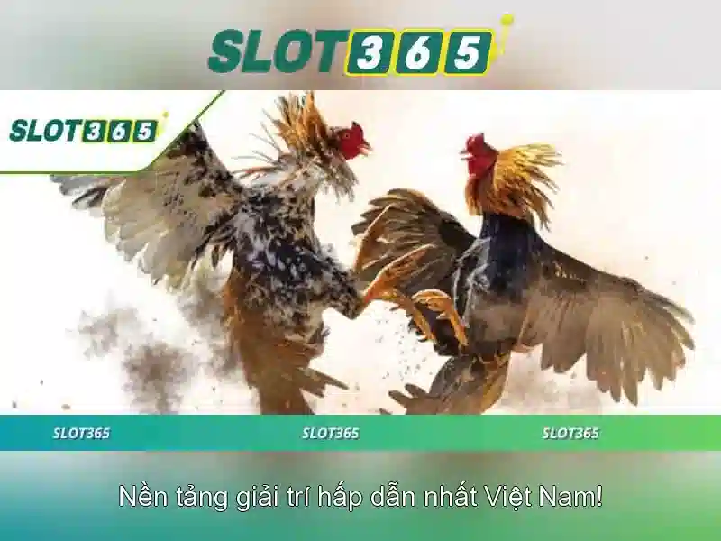 Kết luận về Slot365