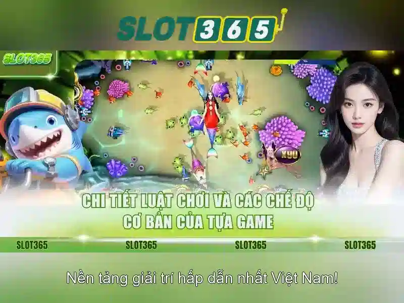 Trải nghiệm người chơi tại Slot365 Trải nghiệm người chơi tại Slot365