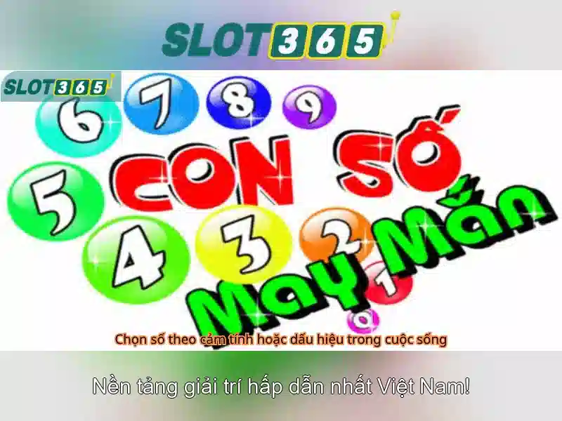 Slot365 là nền tảng chơi xèng trực tuyến phổ biến