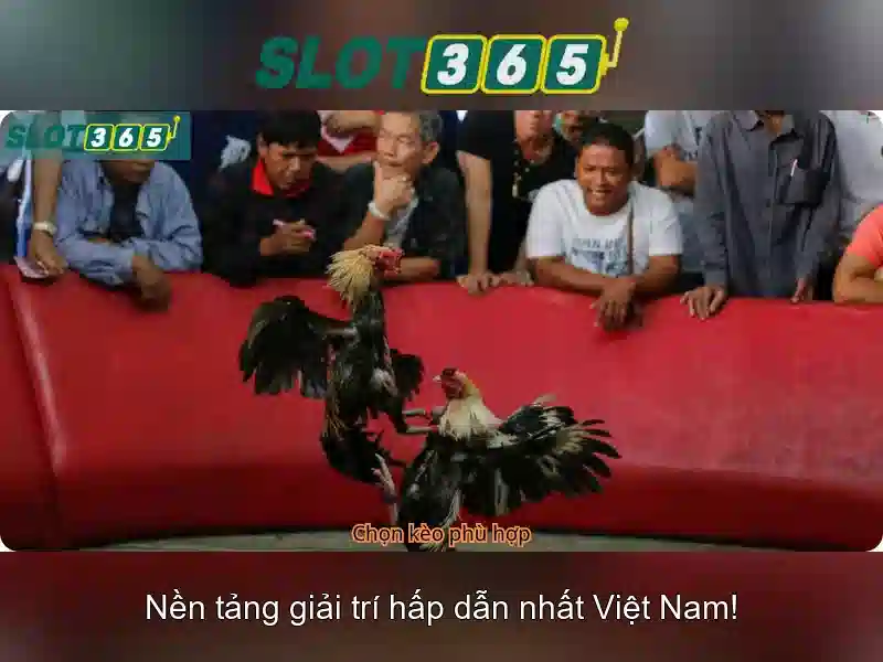 Các tựa game phổ biến
