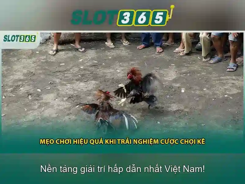 Trò chơi và trải nghiệm người dùng