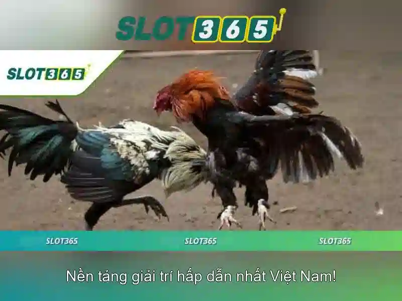 Việt Vị Trong Bóng Đá