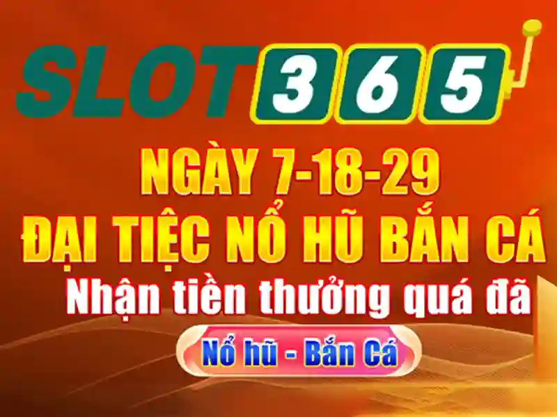 Trải nghiệm người dùng và giao diện