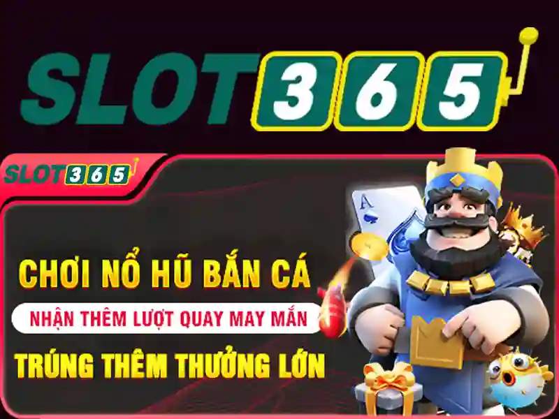 Giao diện người dùng và trải nghiệm di động