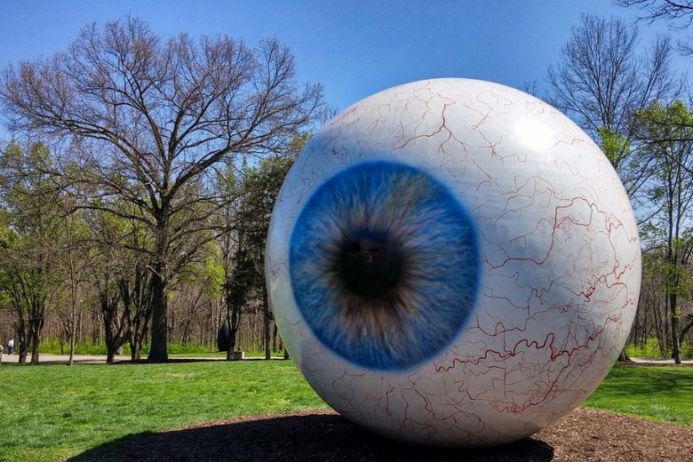 At Laumeier Sculpture Park, you can enjoy more than 60 sculptures al fresco.
