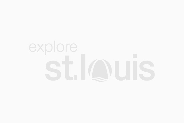 Explore St. Louis Partner