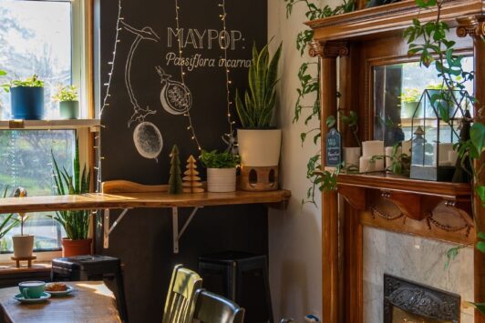Maypop Coffee and Garden Shop features coffee and plants.