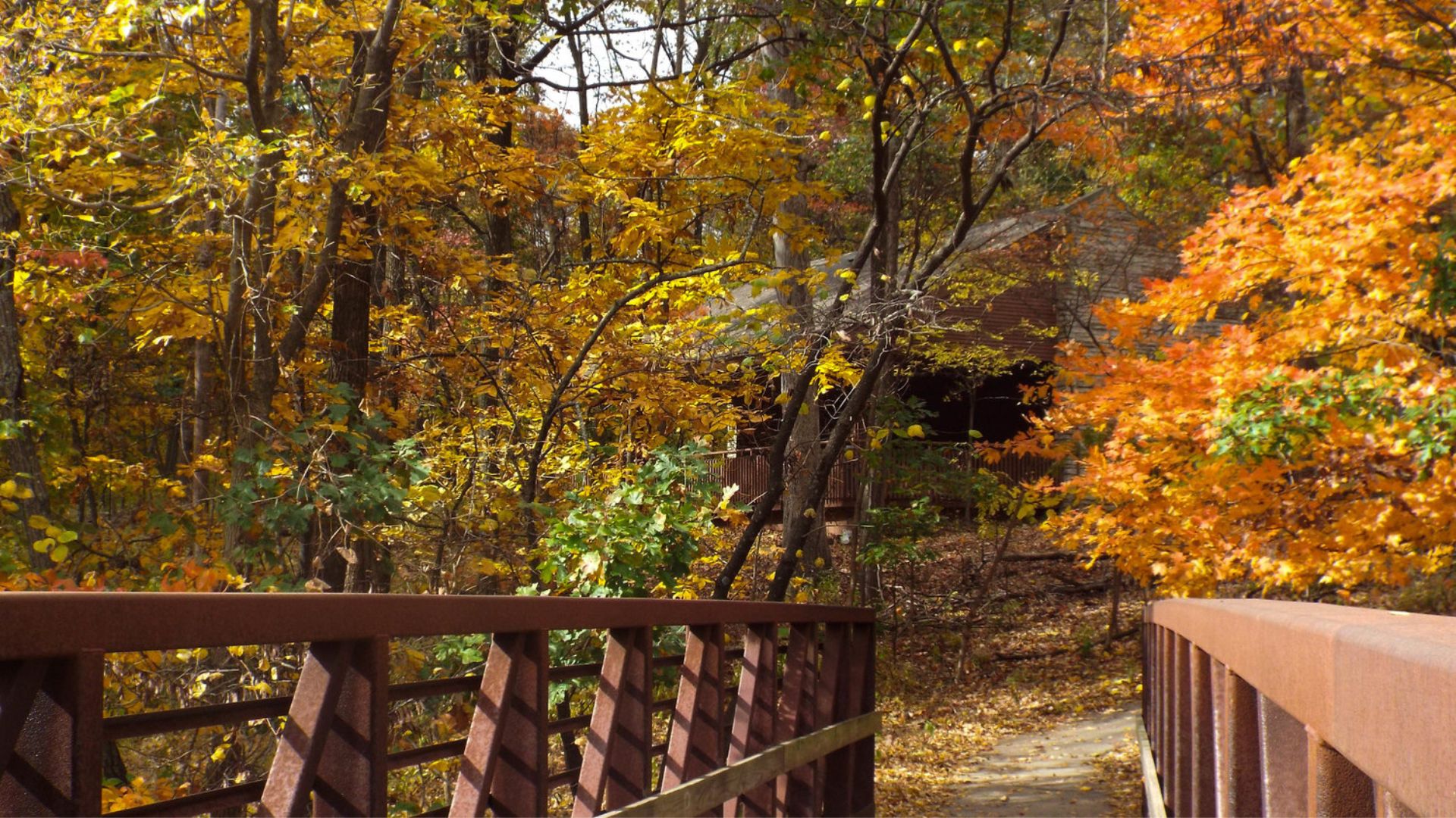 Like all parks, Powder Valley Conservation Nature Center is a great free attraction in St. Louis.