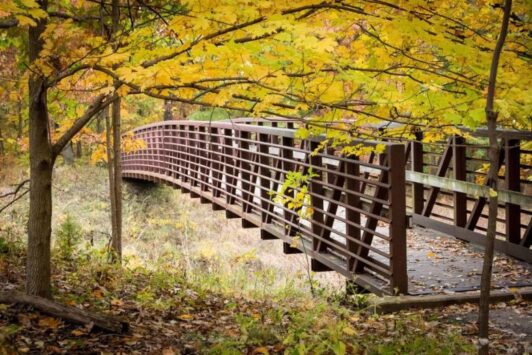 Powder Valley Conservation Nature Center introduces people of all ages to the wonders of the natural world.