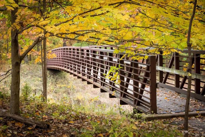 Powder Valley Conservation Nature Center introduces people of all ages to the wonders of the natural world.